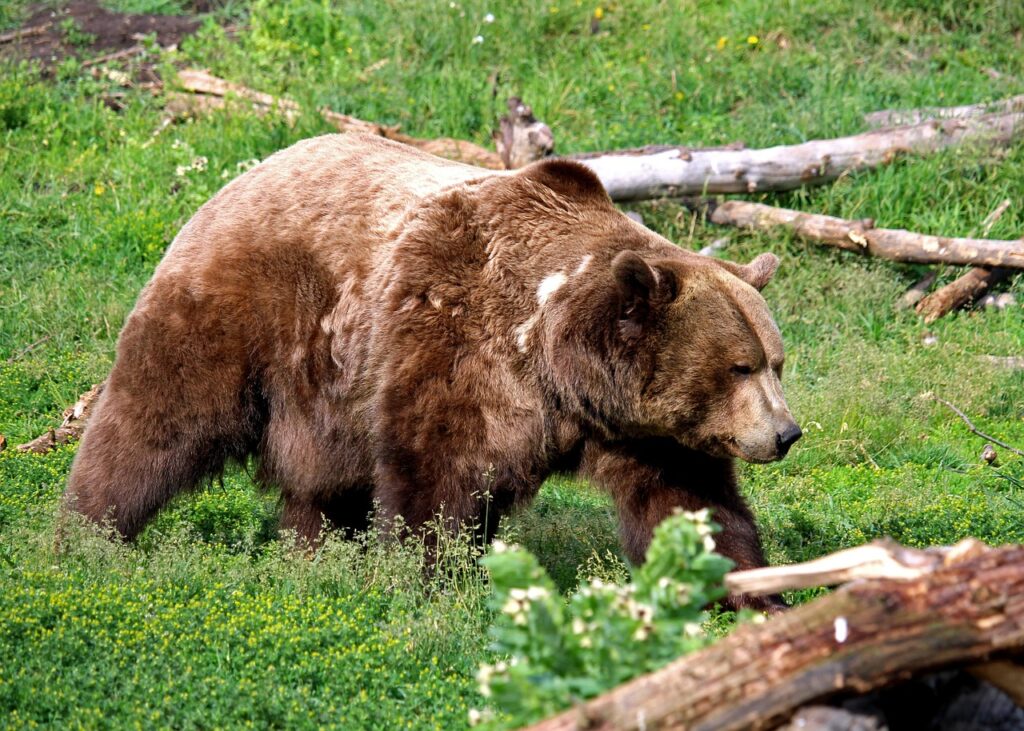 アラフォーの出会い方で成功するためのポイントは？