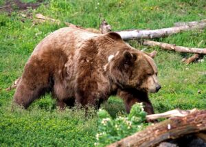 アラフォーの出会い方で成功するためのポイントは？