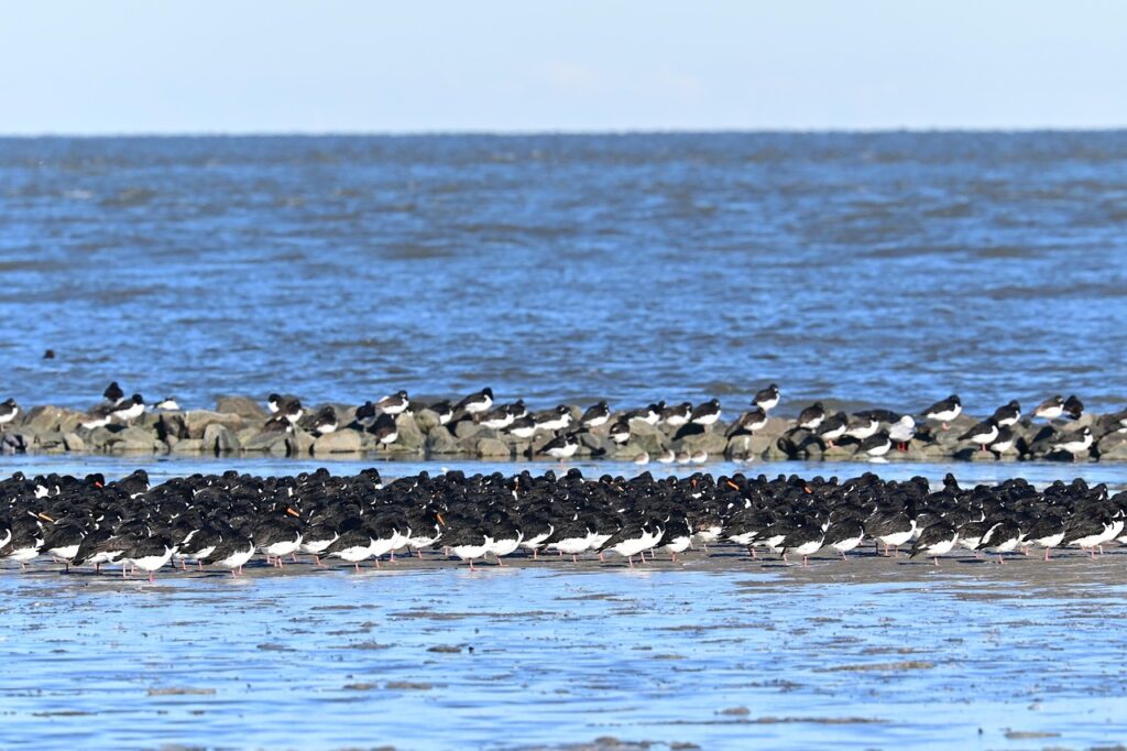 休んでいい理由とは何か、具体的なメリットを解説しますか？