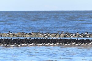 休んでいい理由とは何か、具体的なメリットを解説しますか？