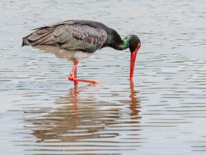 休日に楽しめない悩みを解消する方法は？