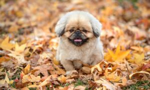 過去の失敗を手放すための効果的な方法とは？