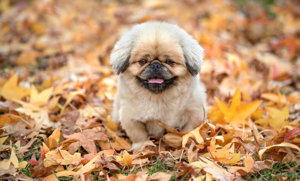 浪費癖をやめたい人が実践すべき効果的な方法は？